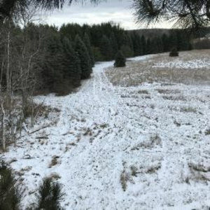 Meet your Posher, Ben